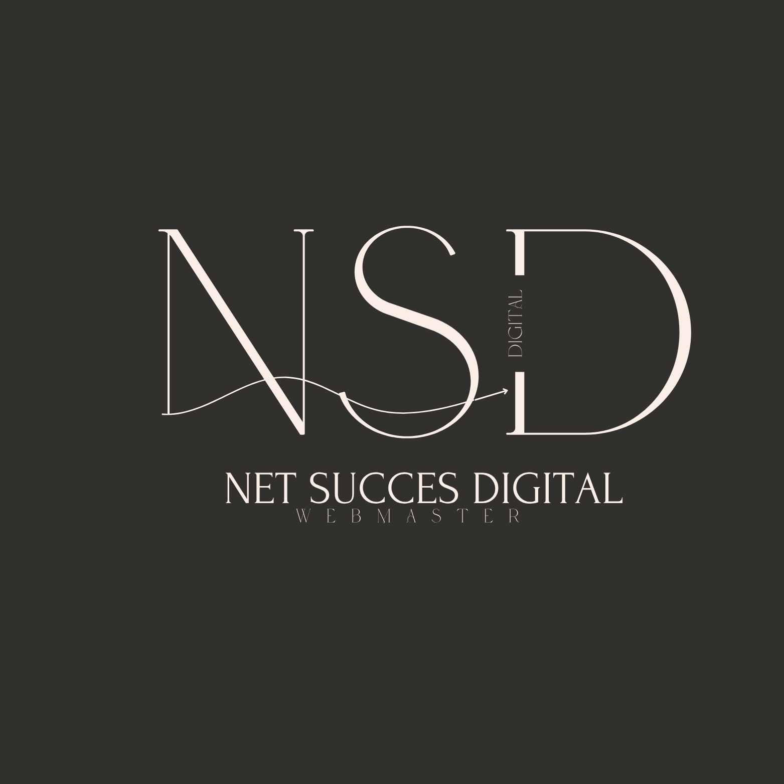 logo netsuccesdigital